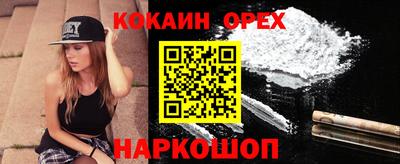 СК Гатчина