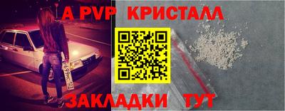 СК Гатчина