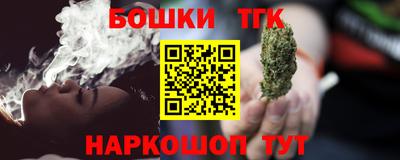 СК Гатчина