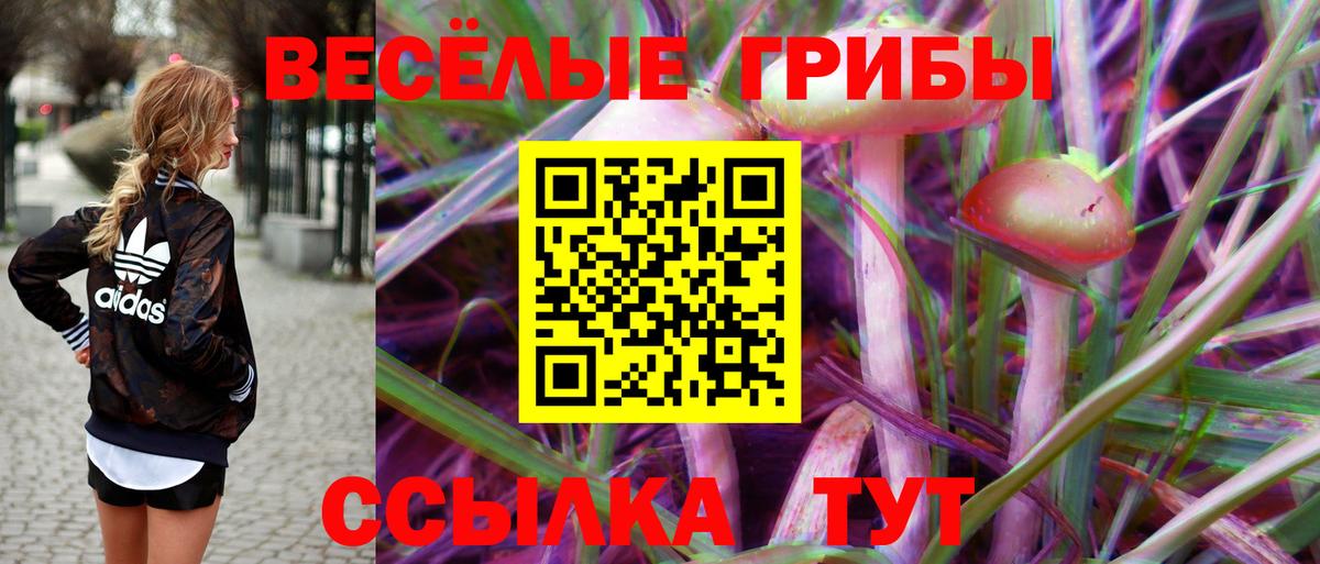Галлюциногенные грибы Psilocybe  Псилоцибиновые грибы прущие грибы  Вход с VPN  Брянск 